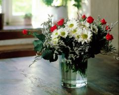 Tapeta Nature Flowers 538.jpg